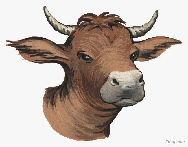 吉林市舒蘭市天德鄉(xiāng)反芻技術(shù)交流會(huì)圓滿(mǎn)成功！