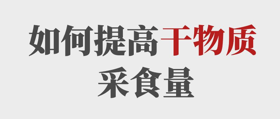 做到這5點提高育肥牛的干物質(zhì)采食量！